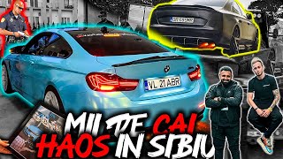 293* Vlog/CarVlog - MII DE CAI ȘI HAOS!🚔