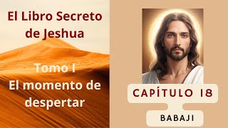 CAPÍTULO 18 BABAJI / EL LIBRO SECRETO DE JESHUA / DANIEL MEUROIS