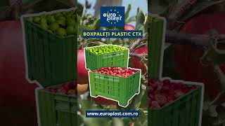 🍎 Boxpaleti pentru fructe si legume  #europlast