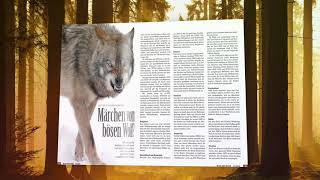 Heftvorschau WILD UND HUND-Ausgabe 17/20