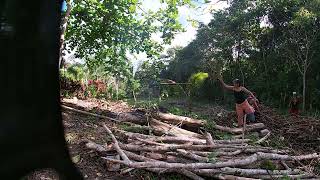 FIRST ENCOUNTER WITH A PHILIPPINE COBRA AT THE PROPERTY