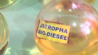 Different Types of  Biodiesel