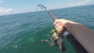 Deep Sea Fishing Off South Carolina