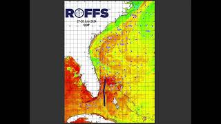 Southeastern U.S. Ocean Conditions Update - 07/30/2024