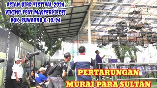 Pertarungan sengit muari fighter para sultan - ASIAN BIRAD FISTIVAL- VIKING ARENA  Feat MASTERPIECEI