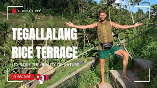 Рисовые террассы Tegallalang Rice Terrace. Убуд, Бали #главныйгерой #бали