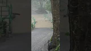 Severe Rainstorm and flood