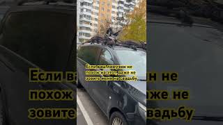 Чья тачка? Я бы прокатилась)) #шортс #юмор #приколы #драконы #тюнинг