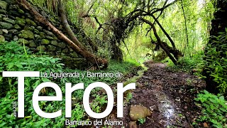 La AGUJERADA, Bcos. de TEROR y El ÁLAMO (abril 2021) #GranCanaria #Teror #BarrancodelAlamo