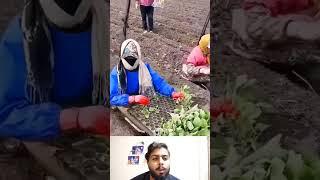 #reaction #jugaad #react #reactionvideo #jugad #farming