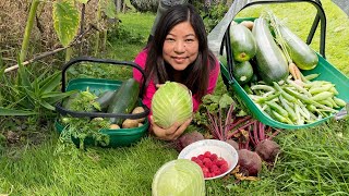 The Joy of Gardening | August Allotment | Mamata's Essence