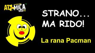 La Rana Pacman - Strano ma Rido - ATomica web TV