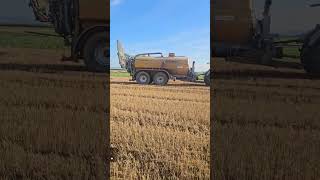 #johndeere #riccic #farmvlog #farming #landwirtschaft #fy #agriculture #farm #farmlife gärrest