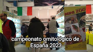 campeonato ornitológico de España 2023 montandolo