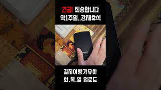 여행유튜버 10개월차에게 닥친 시련(외장하드,인식 오류,복구,베트남,한달살기)