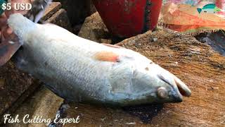 Big Bhetki Fish Cutting Skills At Bangladesh Fish Market