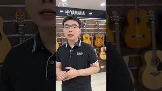 Học bao lâu thì chơi được guitar | Nhaccutiendat.vn