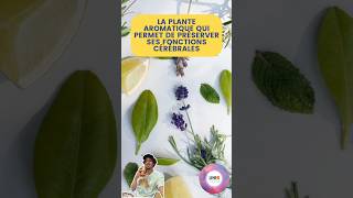 LA PLANTE AROMATIQUE QUI PERMET DE PRÉSERVER SES FONCTIONS CÉRÉBRALES #cerveau #plants #tuto #tips