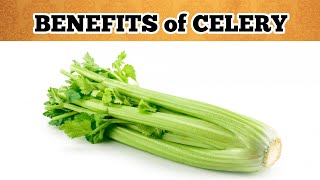 10 Wonderful Health Benefits of Celery