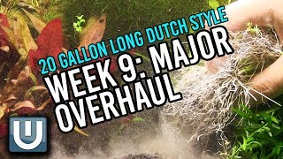 Major Overhaul | 20g Dutch Style | Week 9 Update