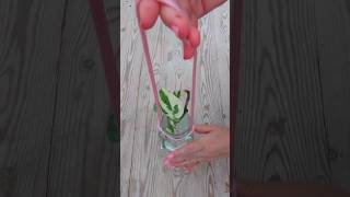 Plant Hanger Quick and Easy #shorts #short #beautiful #viral #video #plants #reels #garden #foryou