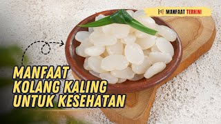 MANFAAT KOLANG KALING UNTUK KESEHATAN | MANFAAT TERKINI #kolangkaling #kesehatan #sehat