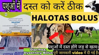 Bolus Halotas || Bolus Halquinol || Bolus Halotas use in hindi