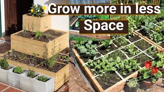 Square foot gardening :easiest way to grow more food in less space