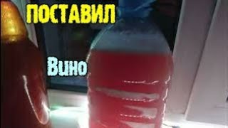 Поставил вино 240414