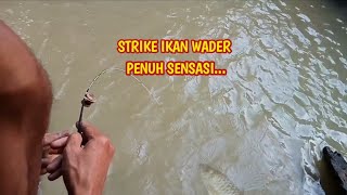 DI KUBANGAN.!! MALAH LEBIH GACOR STRIKE TERUS.!!|