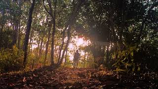 Into Nature, Kamser Hill, Kota Batu, Brunei Darussalam