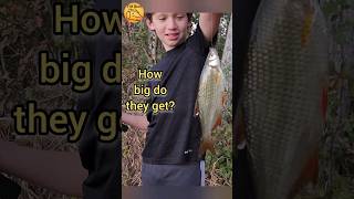 WEIRD Fish Catch, is it a SHINER?! #shorts #fishing #nature