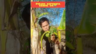 Aduh,pisang kepoknya kerdil om cuma dua sisir 😁😂