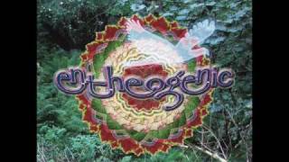 Entheogenic - Rio Barra