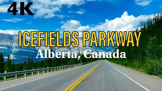 Driving on Icefields Parkway and Trans-Canada Highway | Alberta, Canada