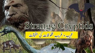 Strange Encounters with Cryptids |Untold Mystery Solved #viralvideo #viral #cryptids #urdu #hindi