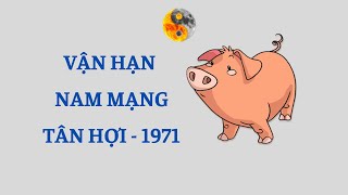 Nam Tuổi Tân Hợi 1971 - Tử Vi & Vận Hạn 6 Tháng Đầu Năm Nhâm Dần 2022