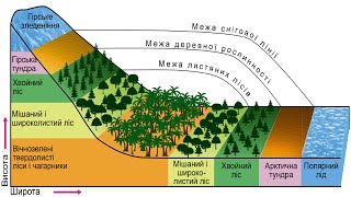 Географія. 7 кл. Урок 14 - Широтна зон-ть на материках і в океанах. Вертикальна поясність у горах