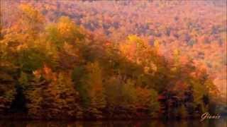 I Meravigliosi colori dell'Autunno (HD)