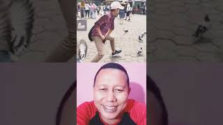 meme editin tangkap burung Pipit kocak #shorts #reaction #funny