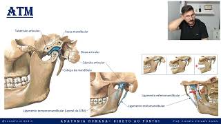 ATM - Articulação temporomandibular - Sistema articular - Anatomia direto ao ponto!