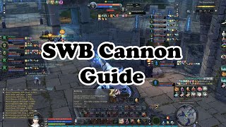 SWB Cannon Complete Guide Euro Aion 2024