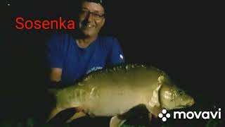 Łowisko Roztarzewo ,,Sosenka" Strong Carp Team by Szakal