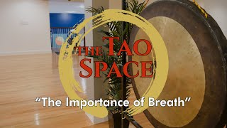 Coping With COVID-19 #1: Taoist Meditation - The Importance of Breath