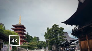 Japan | Walking on historical heritage "Takahata Fudo-son Temple" in Tokyo. | 4K