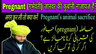 Pregnant (حاملہ) Janwar ki Qurbani karna najayiz? agar kar li to kya kare | Mufti Zubair Ghazali |