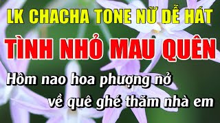 Liên Khúc Karaoke Cha Cha Tone Nữ Dễ Hát Karaoke Tình Nhỏ Mau Quên Karaoke Lâm Nhạc Sống - Beat Mới