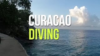 Curacao 2014 Diving \\ Tauchen Highlights