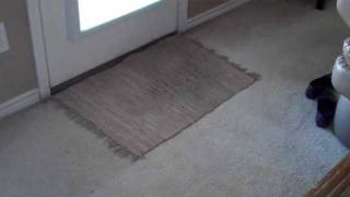 Carpet or Tile at Backdoor?