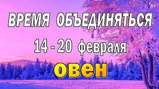 ОВЕН⚡️ПАРТНЕР РЯДОМ⚡️неделя с 14 по 20 февраля. Таро прогноз гороскоп гадание